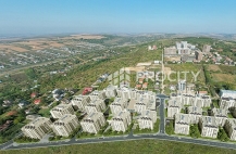 GREENFIELD COPOU 