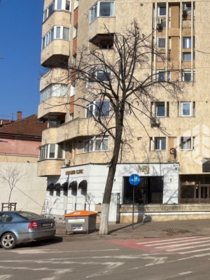 Spaţiu comercial de închiriat, 85 mp, Pacurari